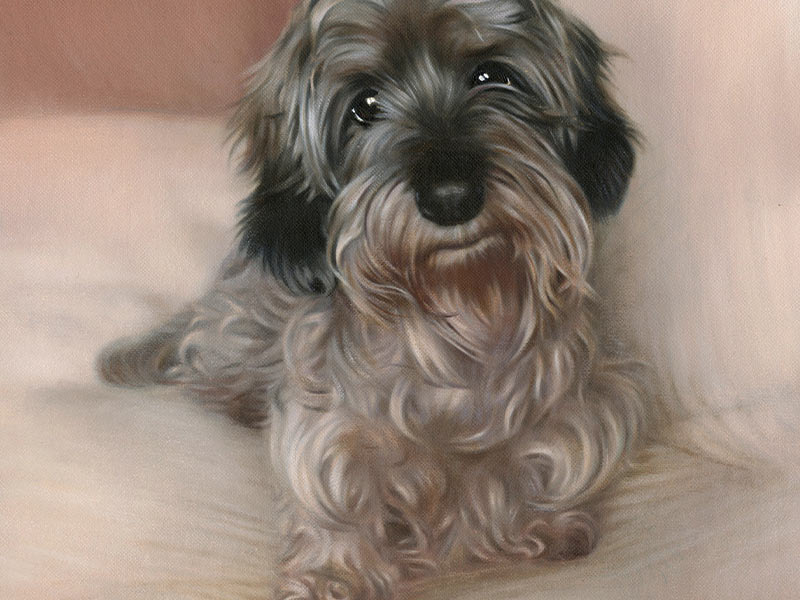 Oil Pet Portrait of Tilly