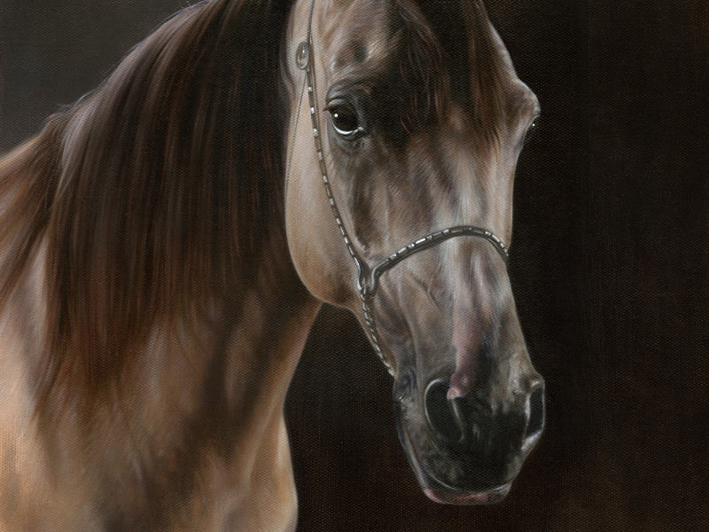 Horse Oil Painting of Remy