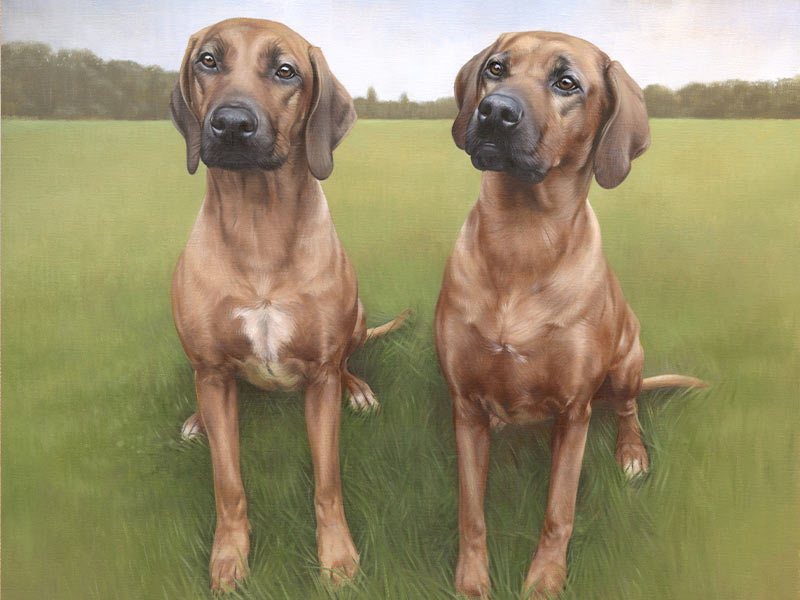 Rhodesian Ridgeback Oil Painting