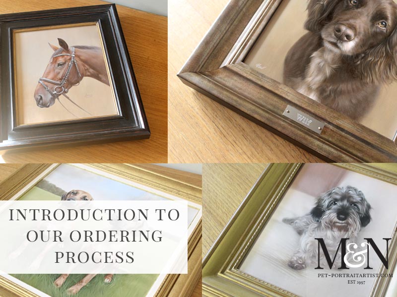Introducing Our Ordering Process