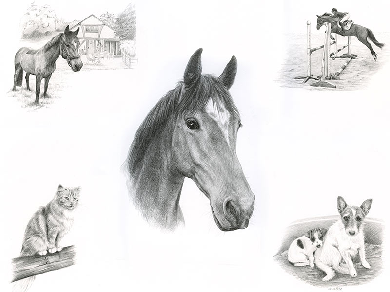 Horse Pencil Portrait Montage