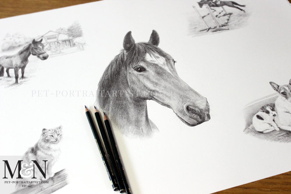 Horse Pencil Portrait Montage