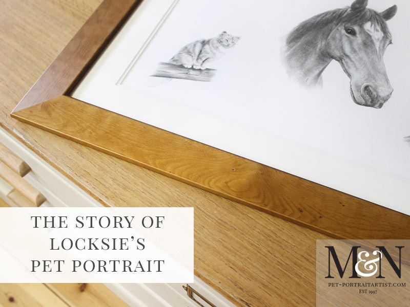 horse pencil portrait montage