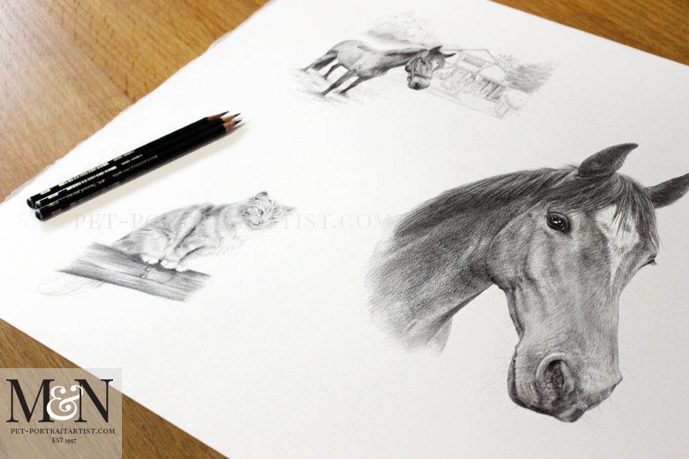 Horse Pencil Portrait Montage