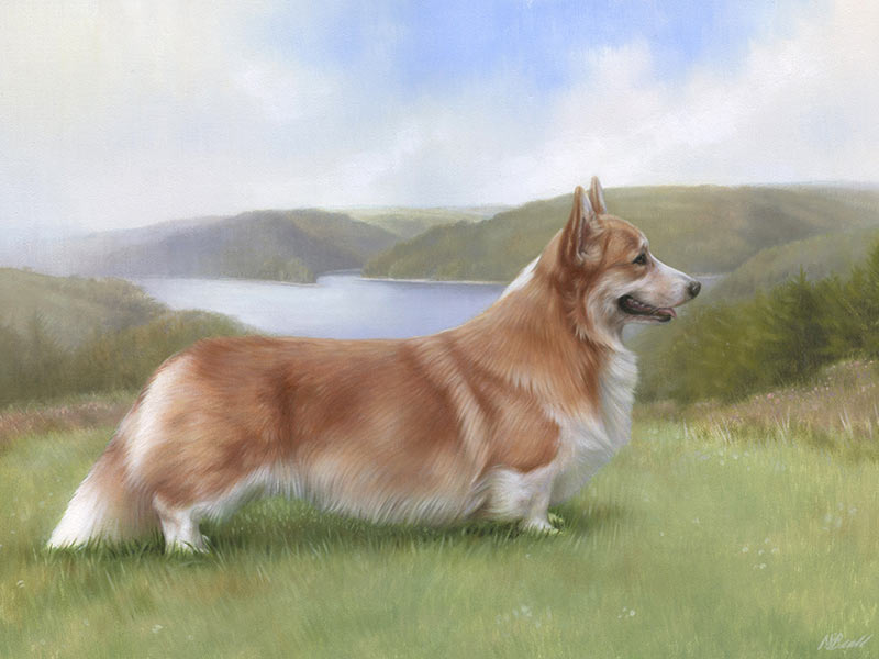 Corgi Oil Painting