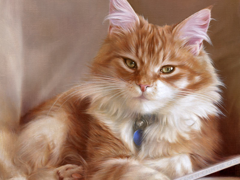 Cat Portrait in Oils of Dudley