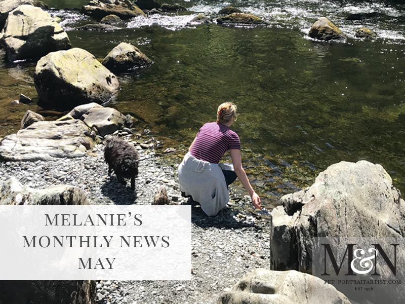 Melanie’s Monthly News in May!