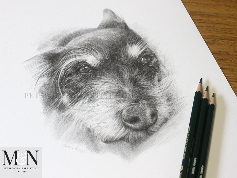 Pencil Drawing Pet Portrait - Melanie & Nicholas Pet Portraits