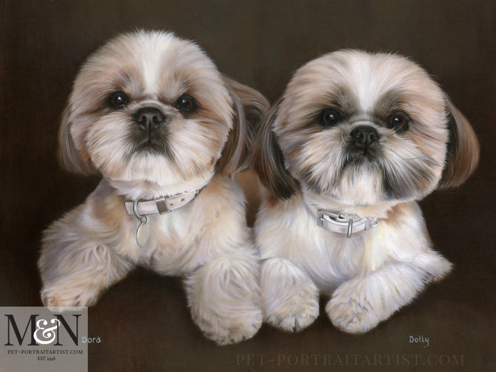 Shih Tzu Dog Oil Portraits