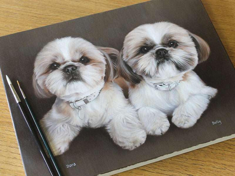 Shih Tzu Dog Oil Portraits