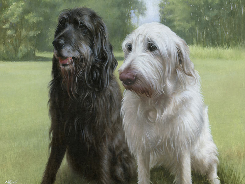 Oil Painting of Pets Harry & Oscar