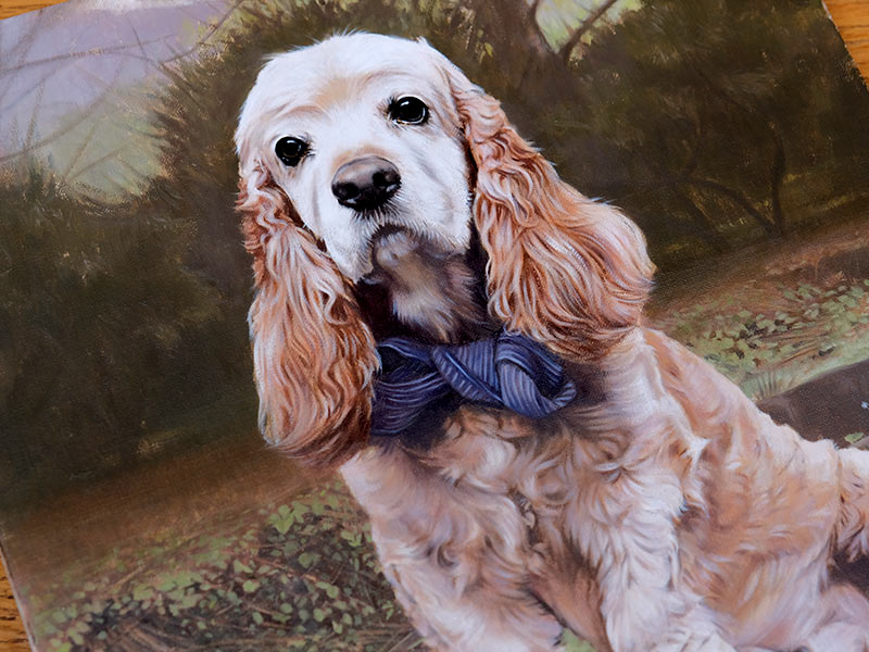 Do You Varnish Your Pet Portraits Oil Paintings?