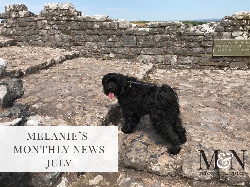 Melanie’s Monthly News in July