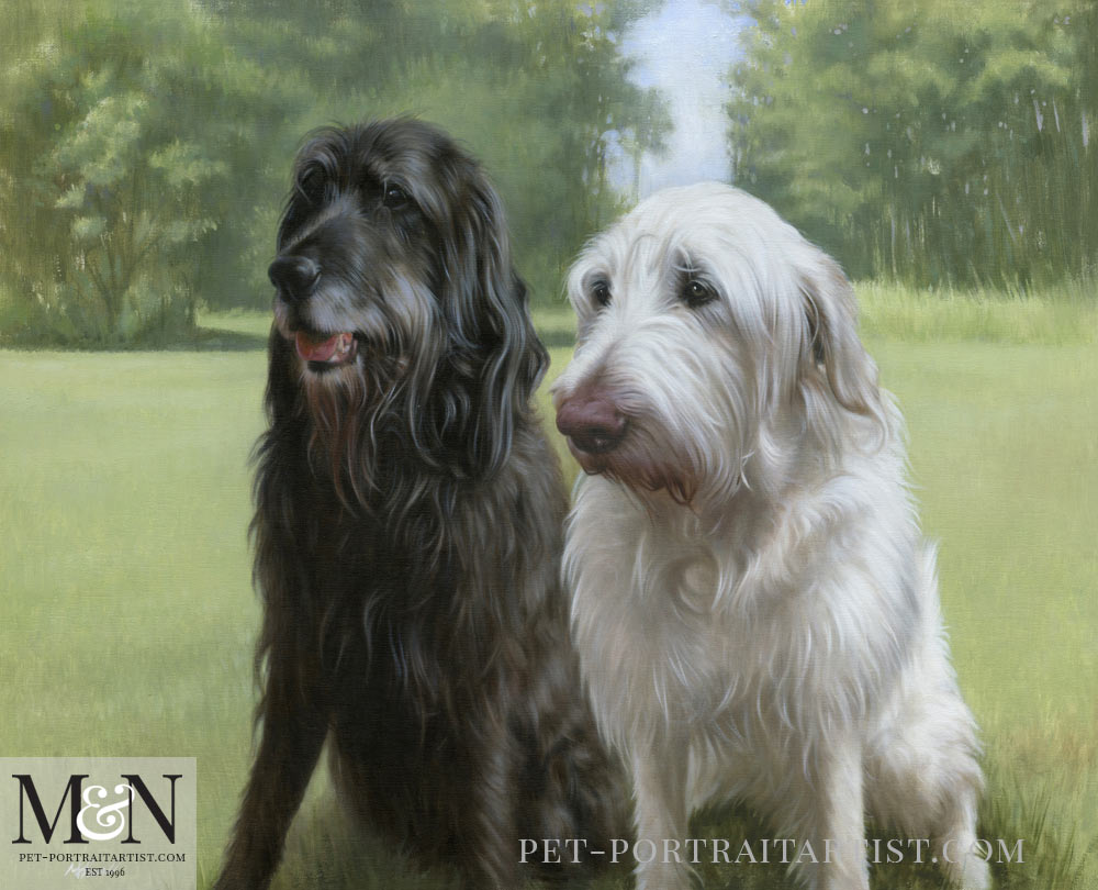 Oil Painting of Pets Harry & Oscar
