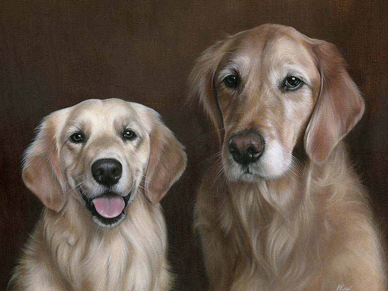 Golden Retriever Oil Pet Portrait