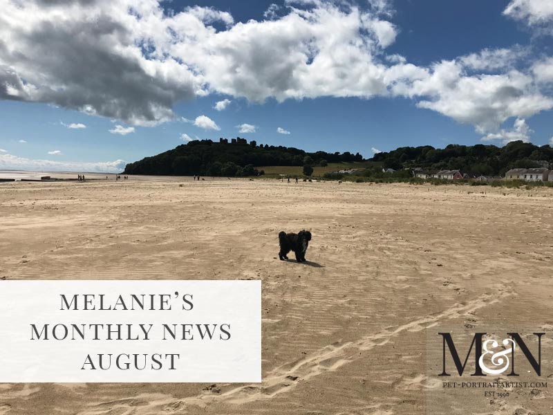 Melanie’s Monthly News in August