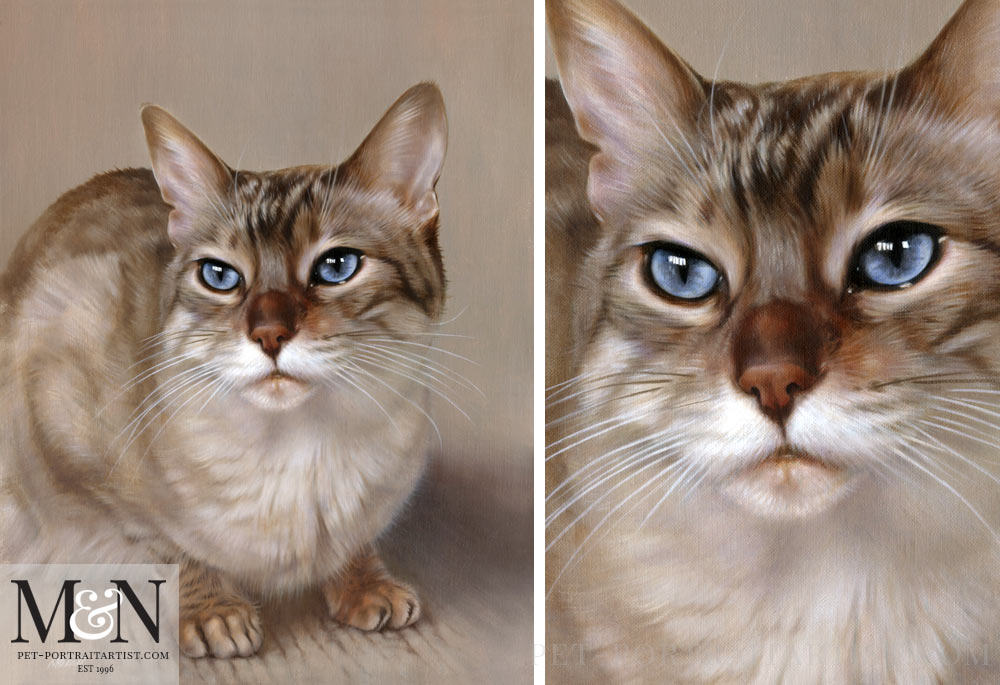 Cat Pet Portraits in Oils