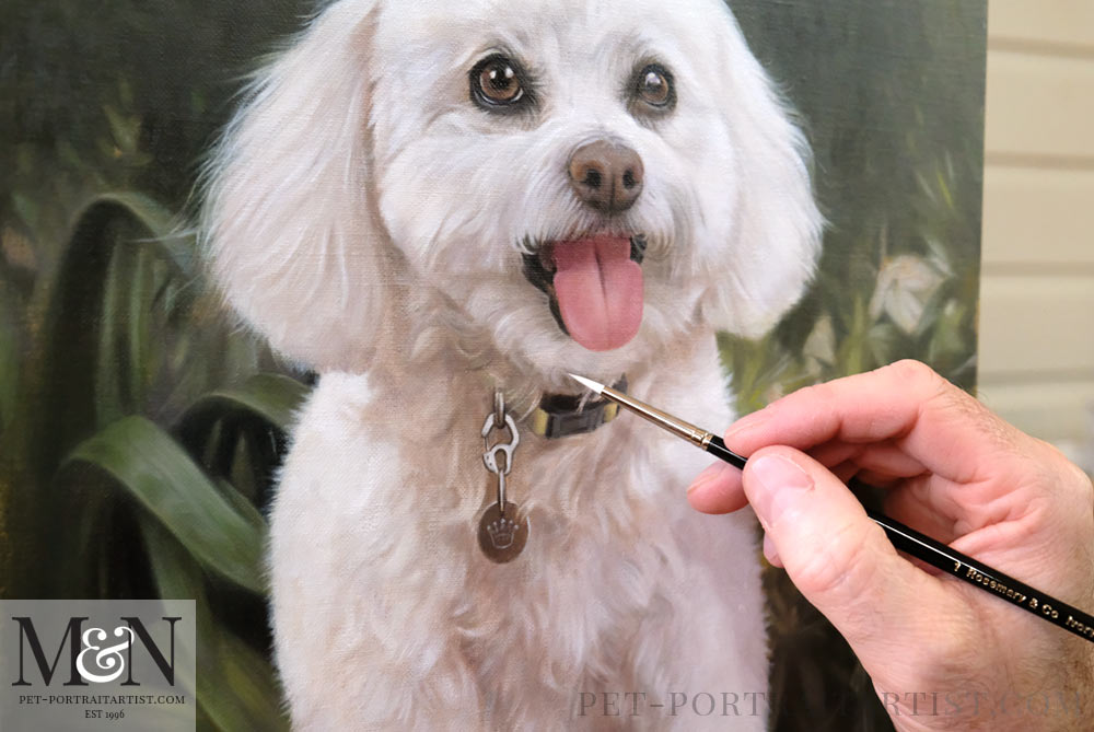 Bichon best sale frise painting