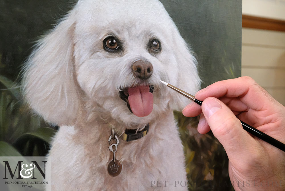 Bichon painting store