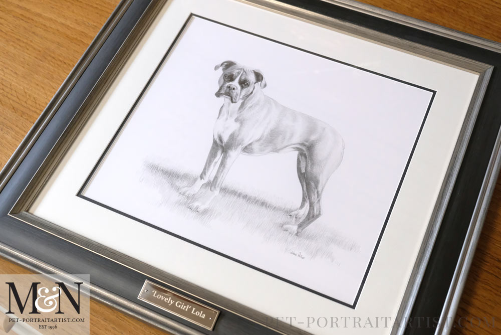 Boxer Dog Drawing Framed