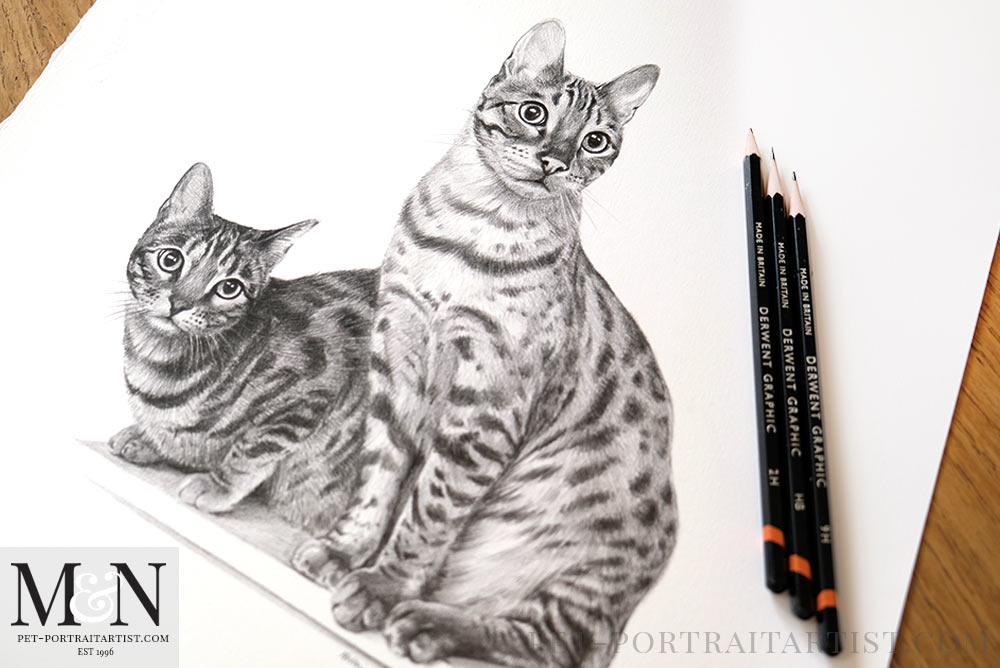 Cat Pencil Drawing Framed