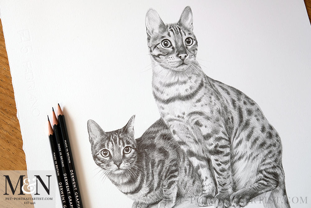 Framed Cat Pencil Drawing - Melanie &amp; Nicholas Pet Portraits