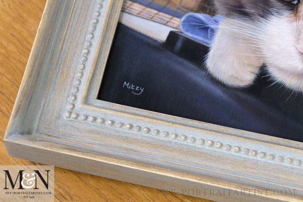 close up of the cat portrait framed