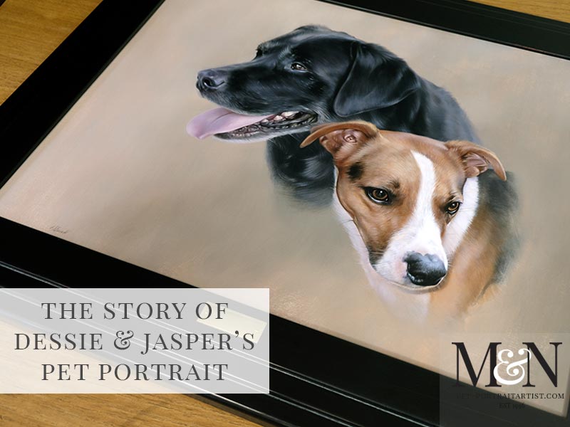 Dog Portrait of Dessie and Jasper