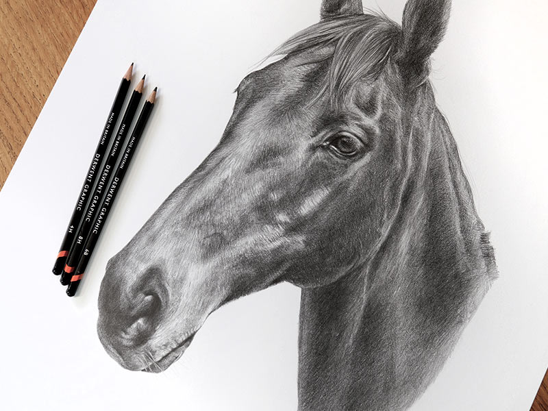 Horse Pencil Drawing