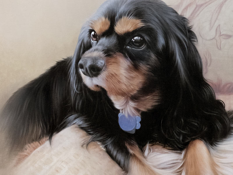 King Charles Spaniel Pet Portraits