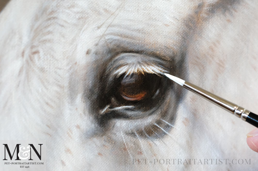 Horse Oil Painting