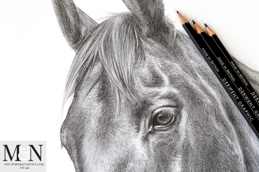 Horse Pencil Drawing