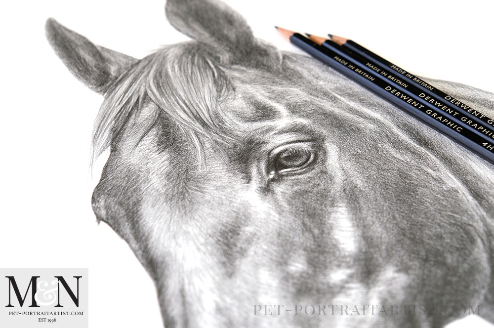 Horse Pencil Drawing