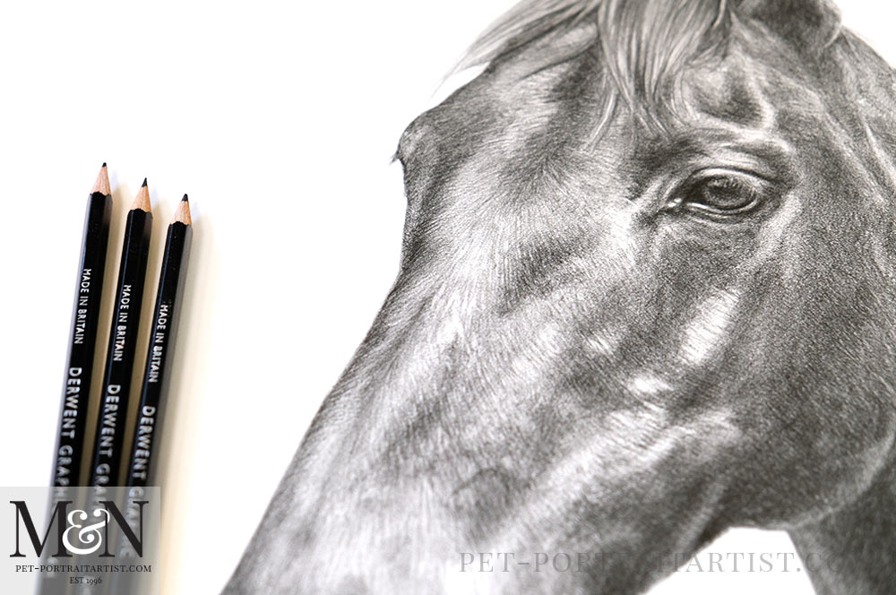 Horse Pencil Drawing