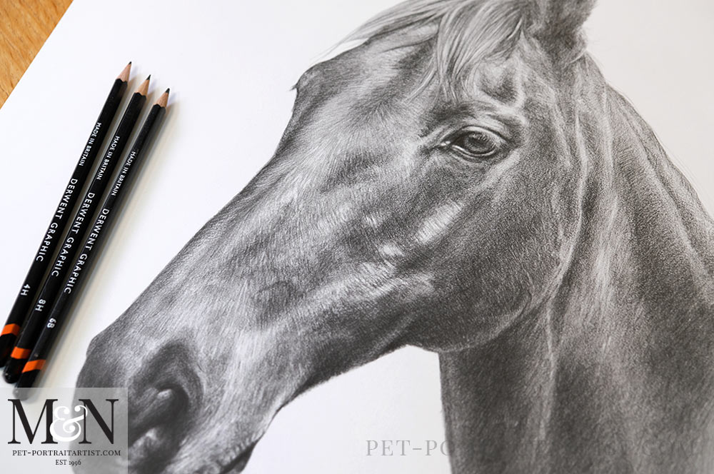 Horse Pencil Drawing