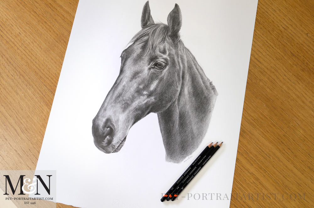 Horse Pencil Drawing - Melanie & Nicholas Pet Portraits