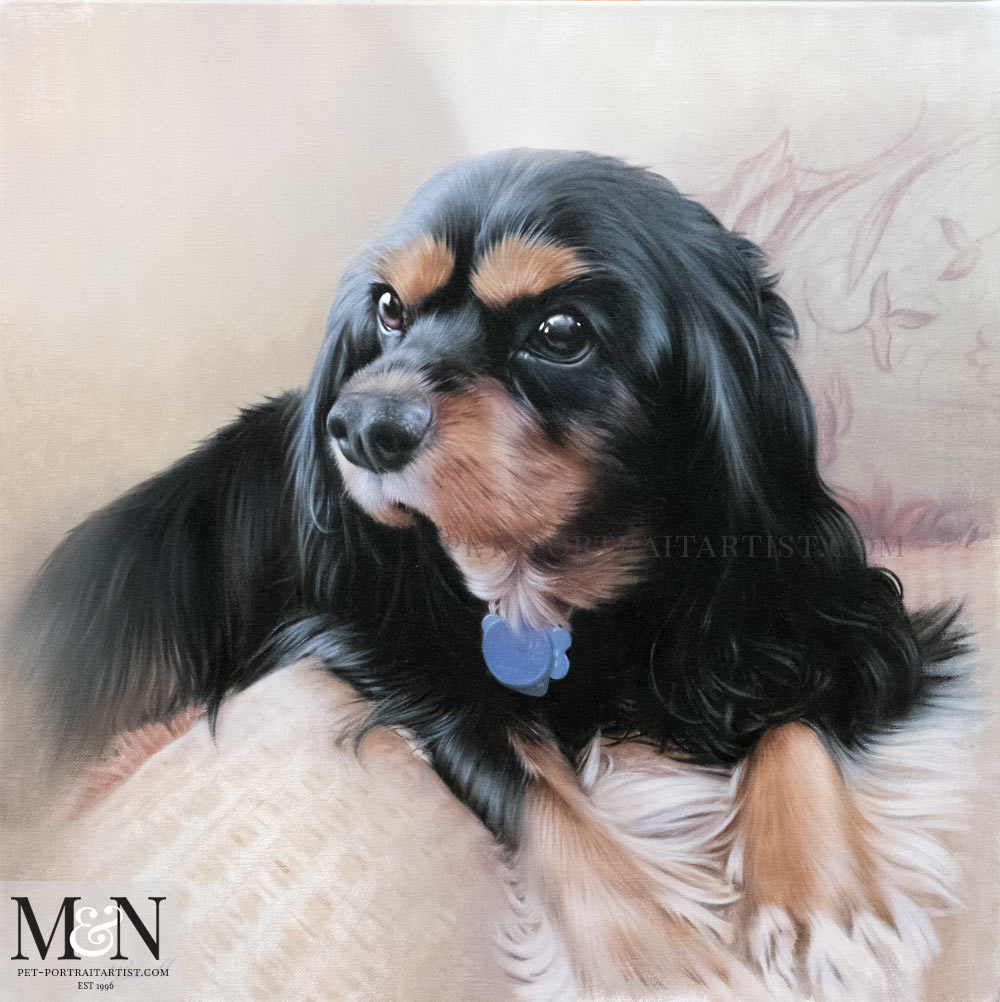 King Charles Spaniel Pet Portraits