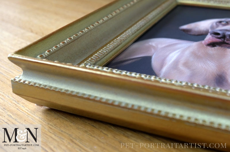 Weimaraner Oil Portrait Framed