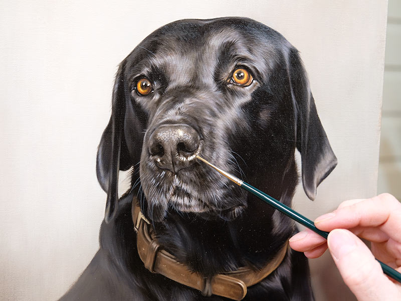 Black Labrador Oil Portrait