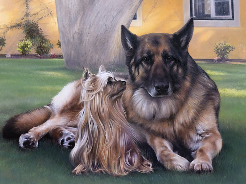 Oil Pet Portrait Commission