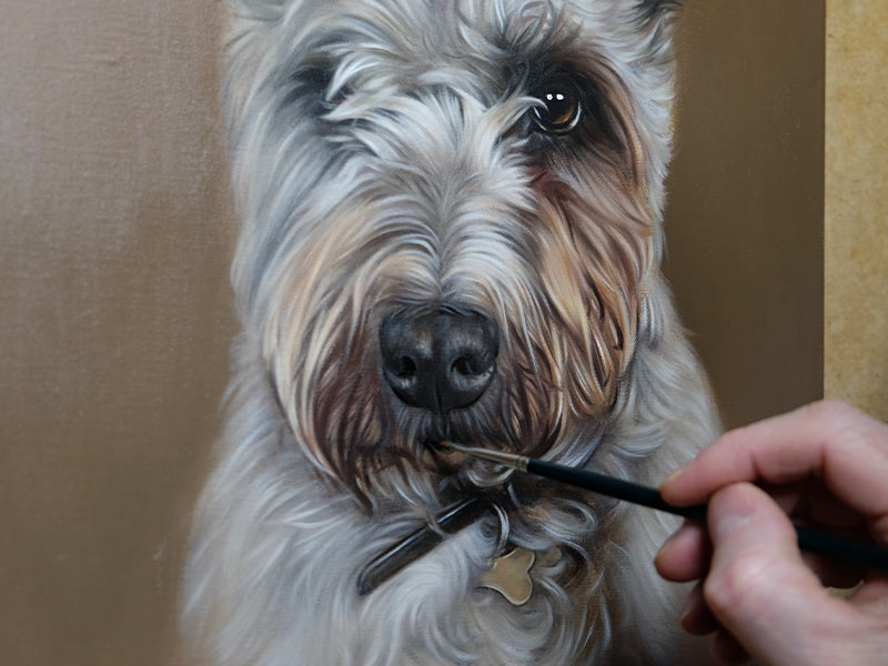 Terrier Oil Portraits