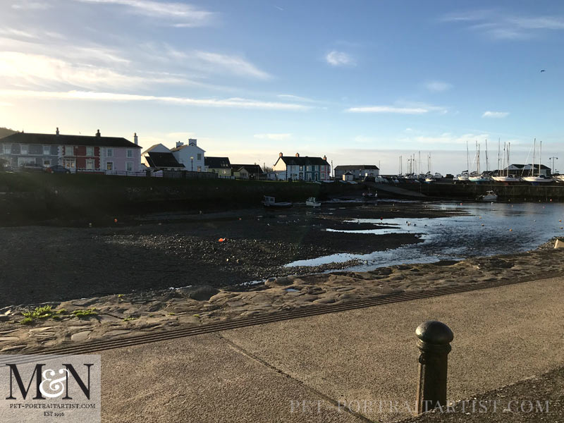 Melanie's February News Aberaeron, Wales 