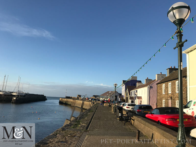 Melanie's February News Aberaeron Harbour, Wales 