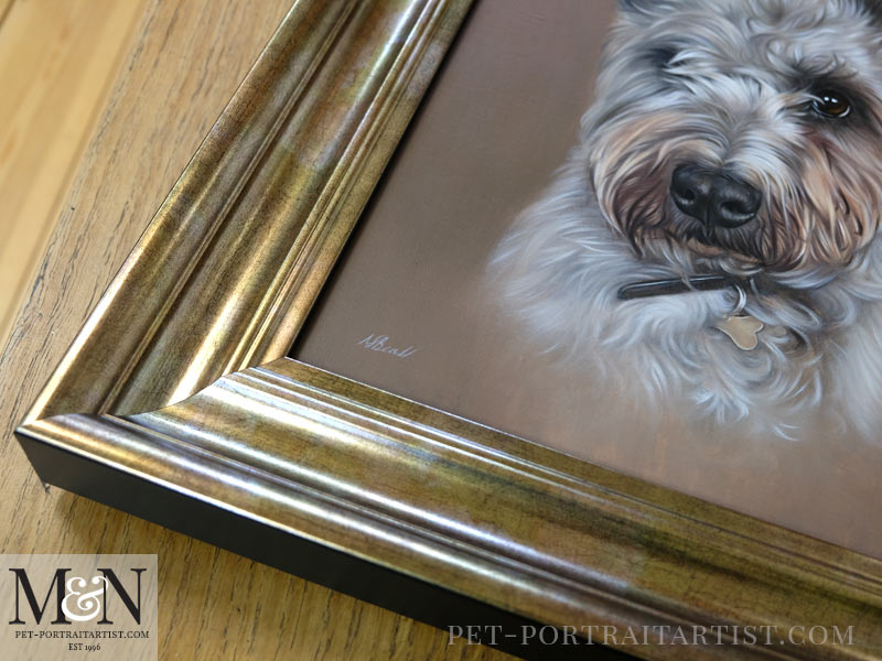 Oil Portrait of Blu Framed