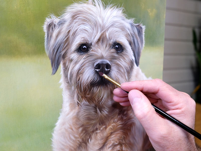 Norfolk Terrier Pet Portraits in Oil