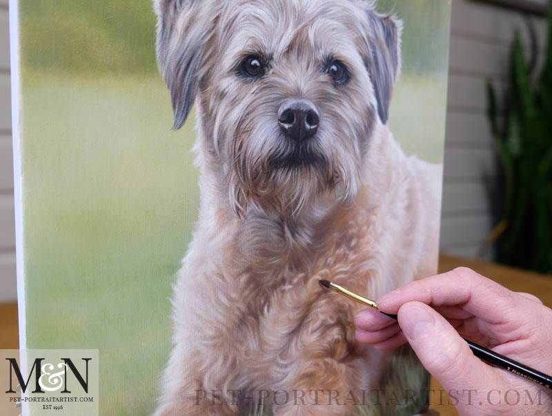 Freddie's Dog Portrait