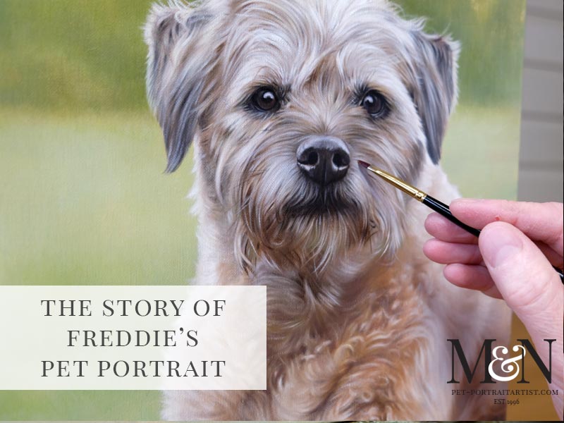 Freddie's Dog Portrait