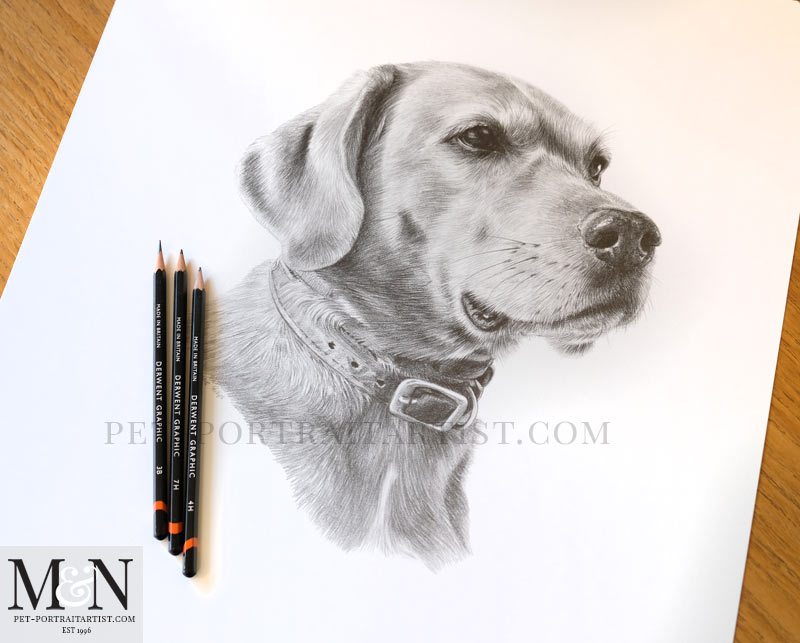 Rusty's Pencil Portrait