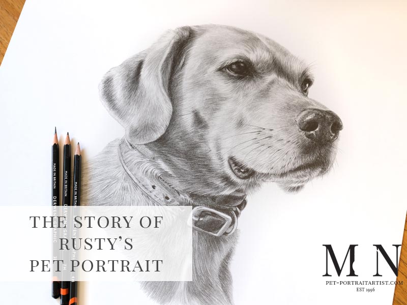 Pencil Pet Portrait of Rusty