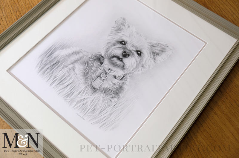 Drawing of Chloe framed by Amanda